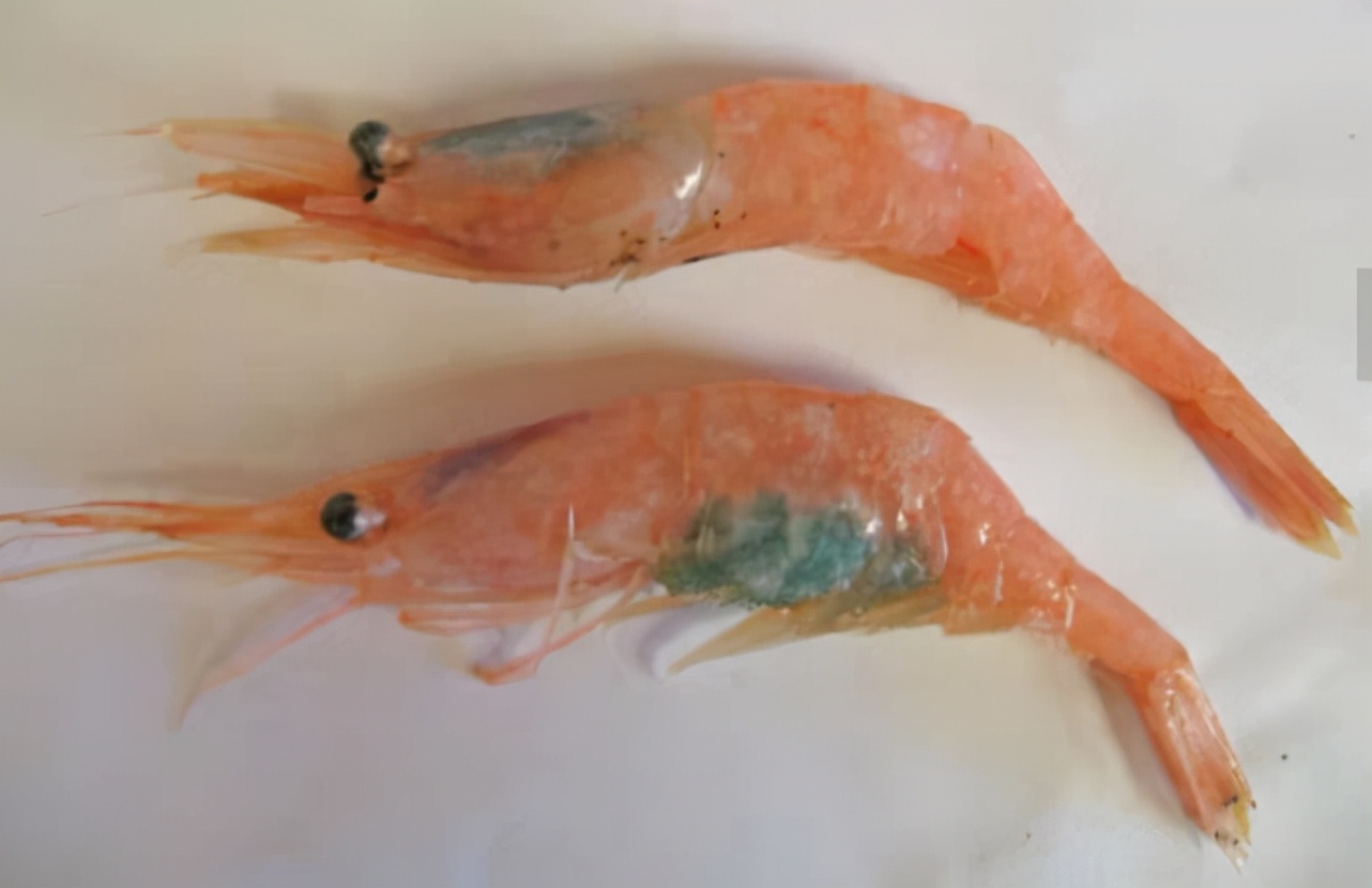 男子吃生腌海鲜,男子吃生虾