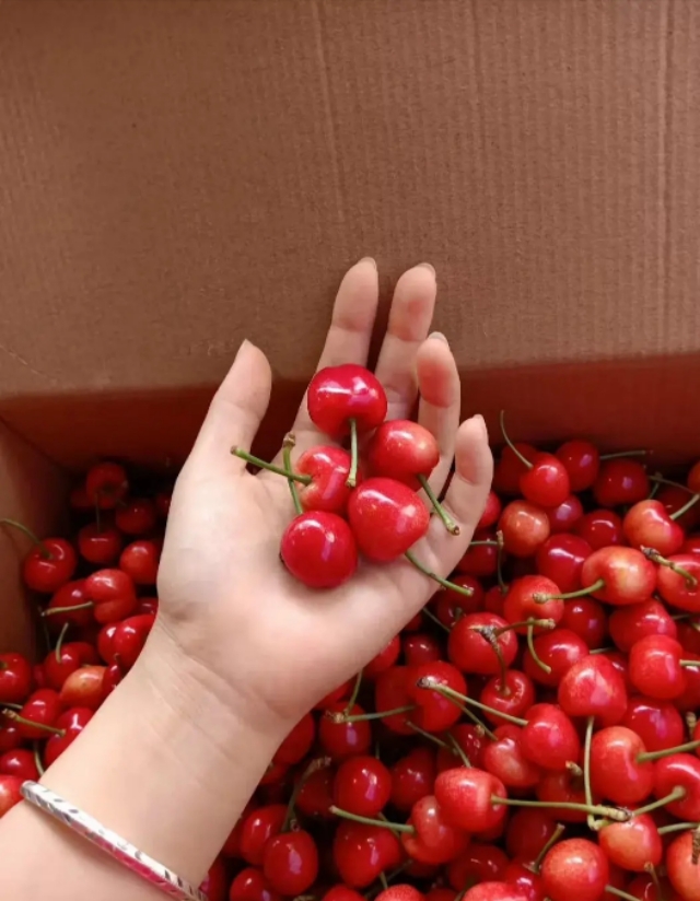 人生的根本问题与自己的救赎之路,人生就是一场自己救赎的旅程