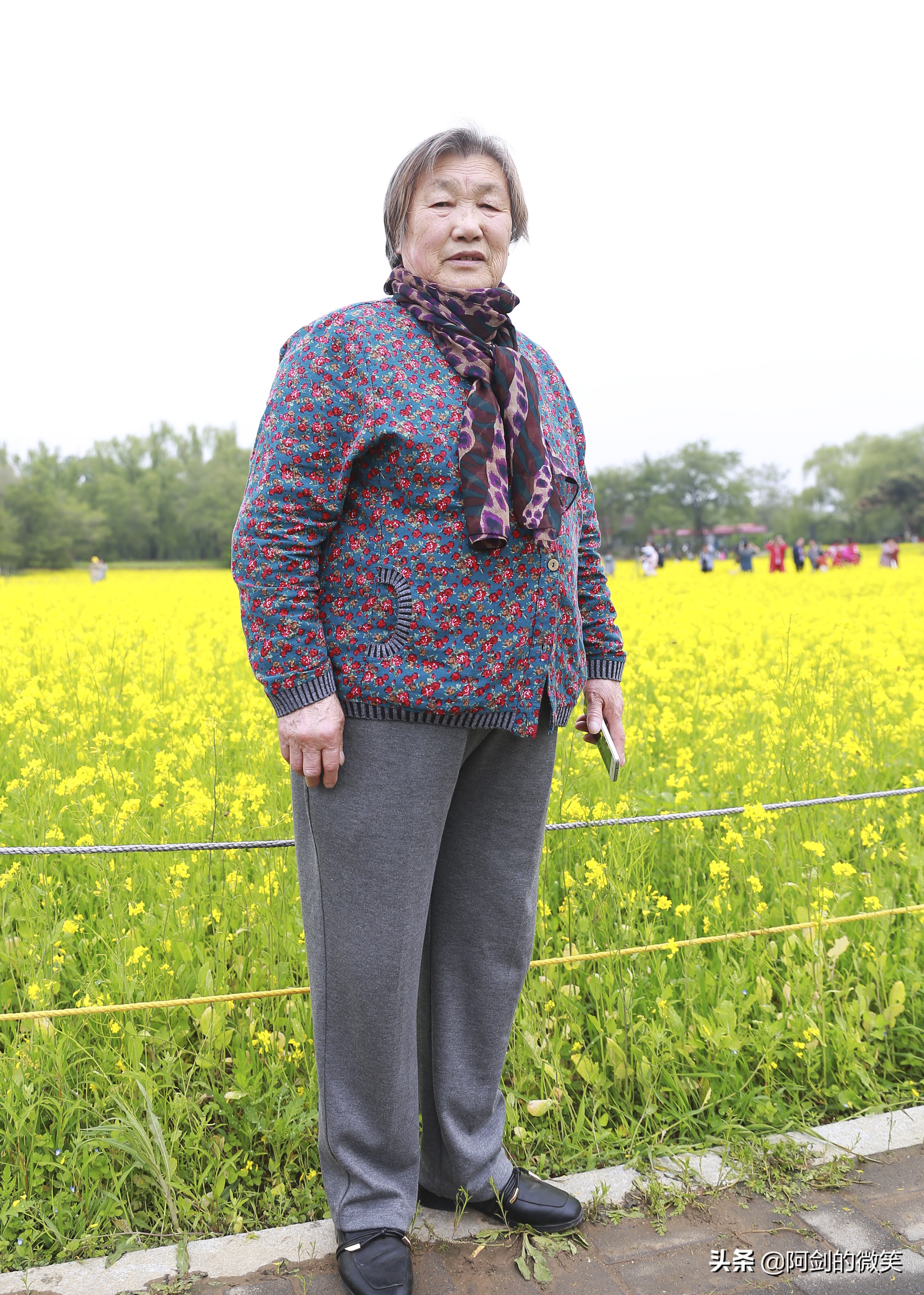 沈阳十一假期哪里有花海,沈阳玫瑰小镇温泉花海两日游