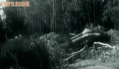 末日王者对决,末日王者战争