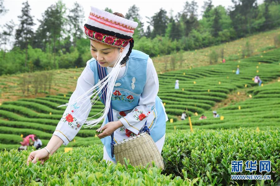 最美暮春的古诗,七律谷雨新韵古诗