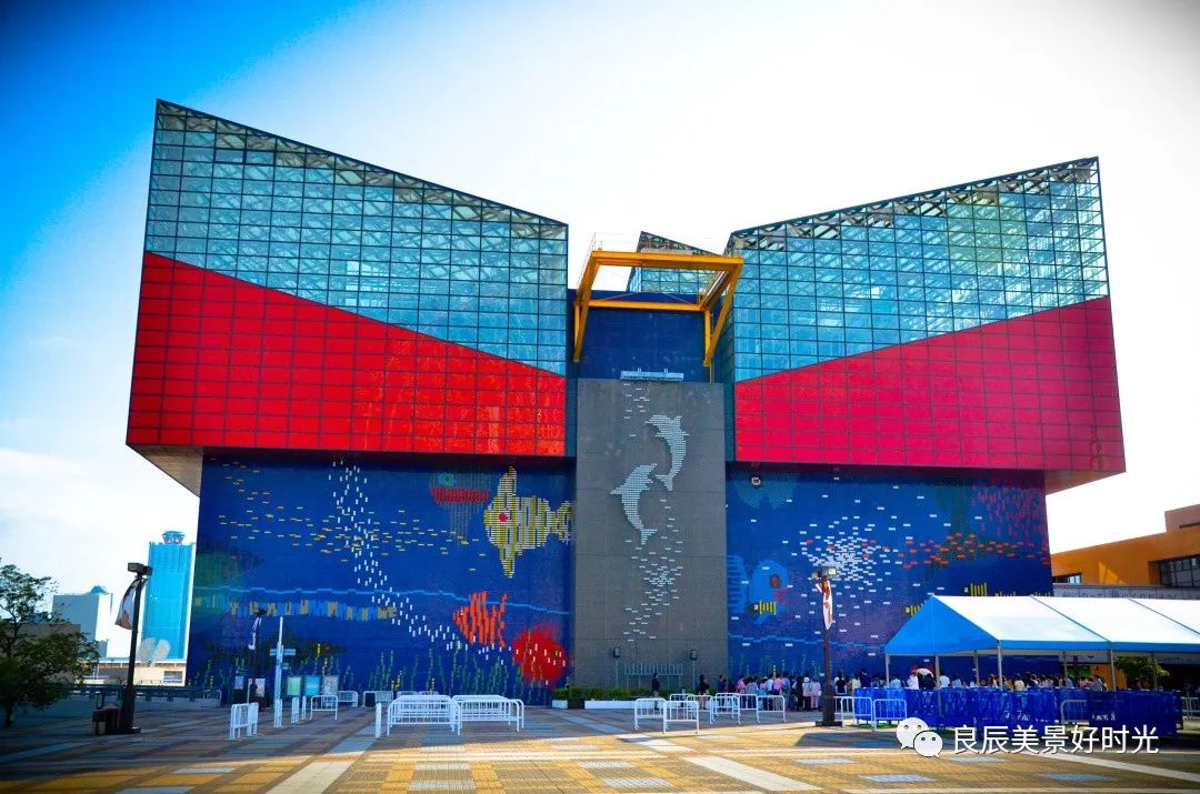 大阪ose期货国内可以交易吗,大阪osaksa食堂