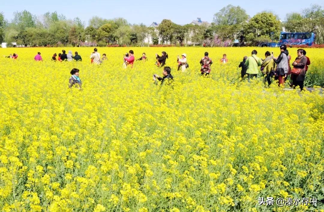 姜堰好吃又好玩的地方,56张美景图片大饱眼福