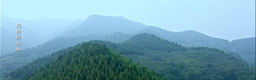 涉县更乐镇好地方！探访南漫驼“寨崖”！堪称人间仙境