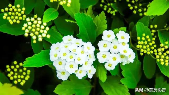 春分时节最具代表性的诗词,十首春分诗词带你览尽美好春光