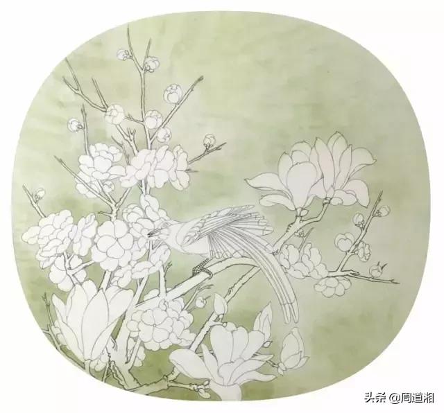宋人工笔花鸟临摹步骤,工笔花鸟玉兰的画法