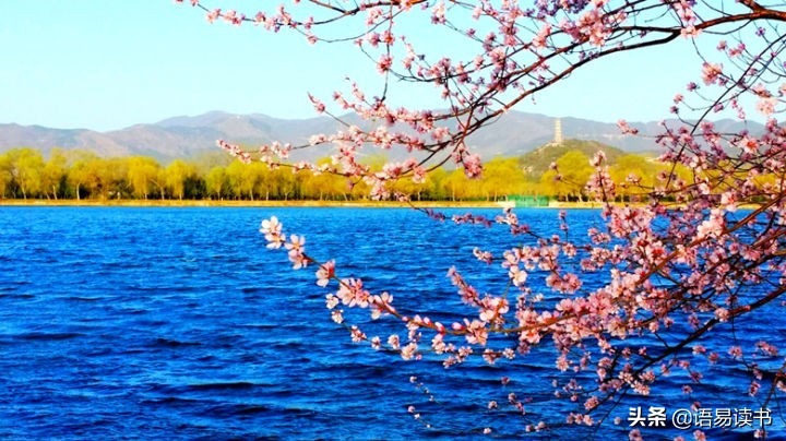 忆江南白居易小学生必背古诗词,忆江南白居易三年级下册古诗视频