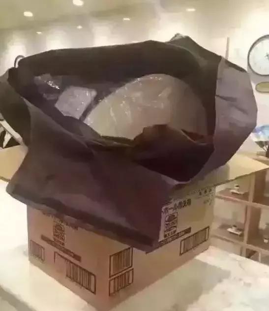 日本马桶品牌排行榜前十名,日本马桶领先