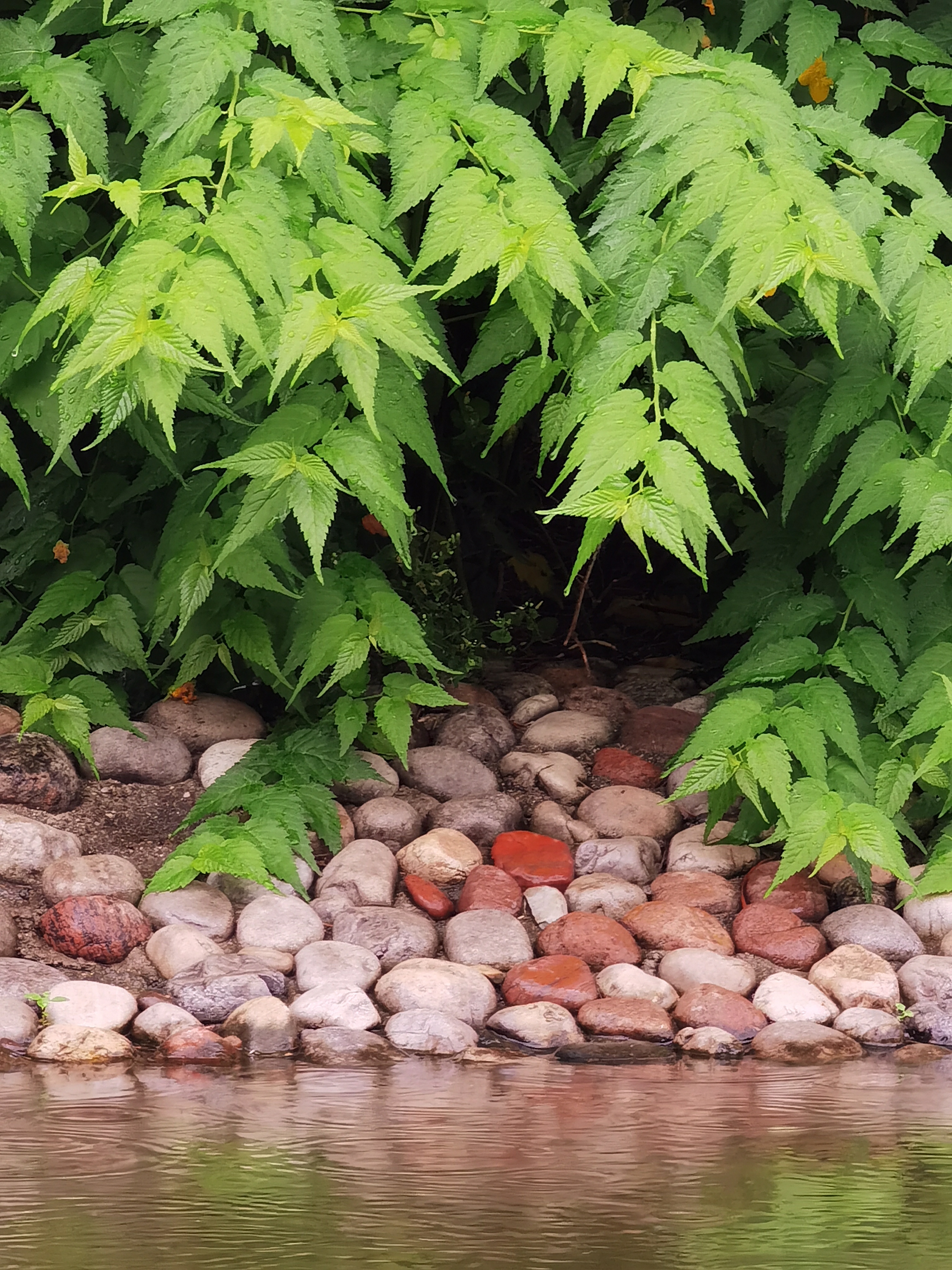 华为p50pro实测,华为p50pro变焦测试