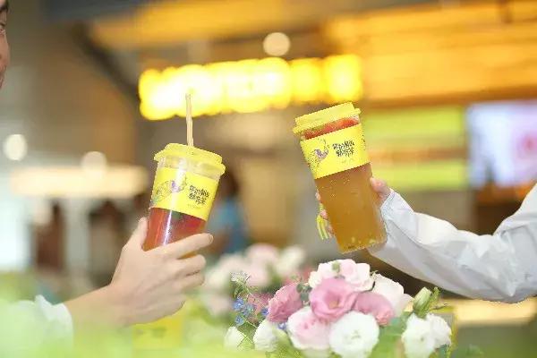 有茶招商加盟,有茶加盟官网