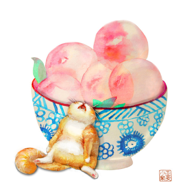 那些你不知道的猫咪冷知识,猫咪的冷知识你知道哪些