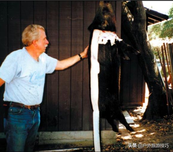 鍥藉鐙╃寧閲庣尓,缇庡浗鎹曠寧閲庣尓