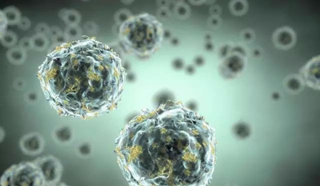 瀹夌劧绾崇背鍥犵埍姘告亽,瀹夌劧绾崇背绉戞妧鑳介噺