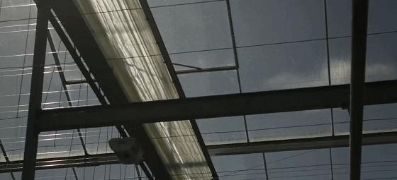 专业的玻璃温室大棚建造,温室大棚生产及设计