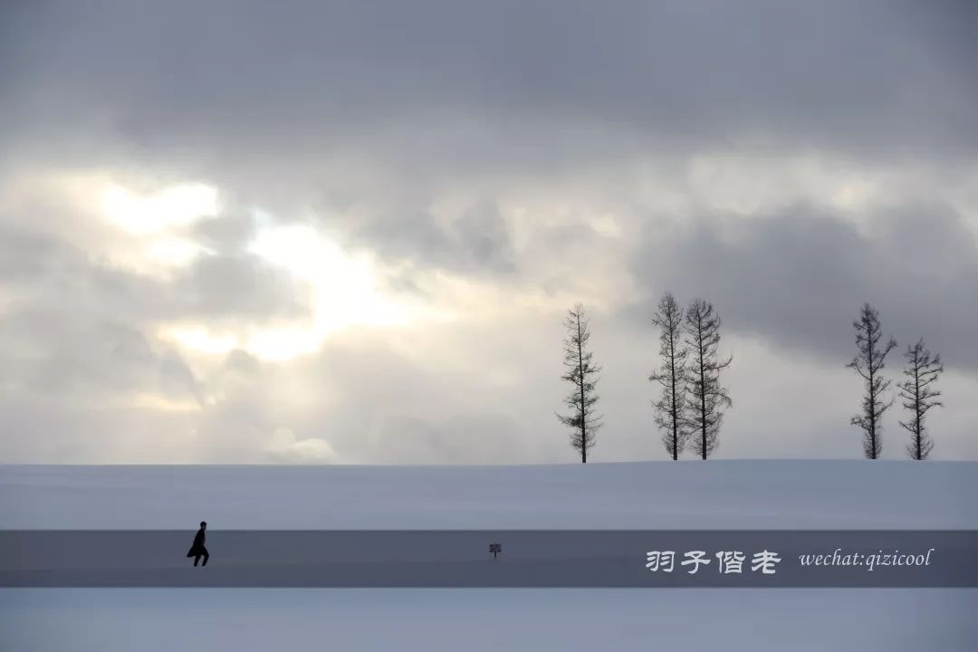 老实说,这一趟北海道就是为了拍好看的照片去的