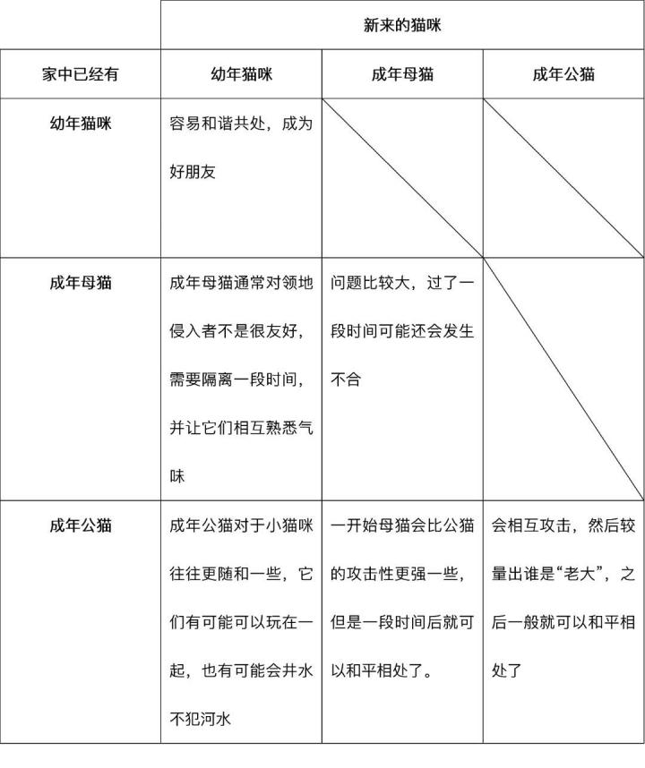 猫与猫咪之间打架会流血受伤吗,猫咪之间老是打架怎么办