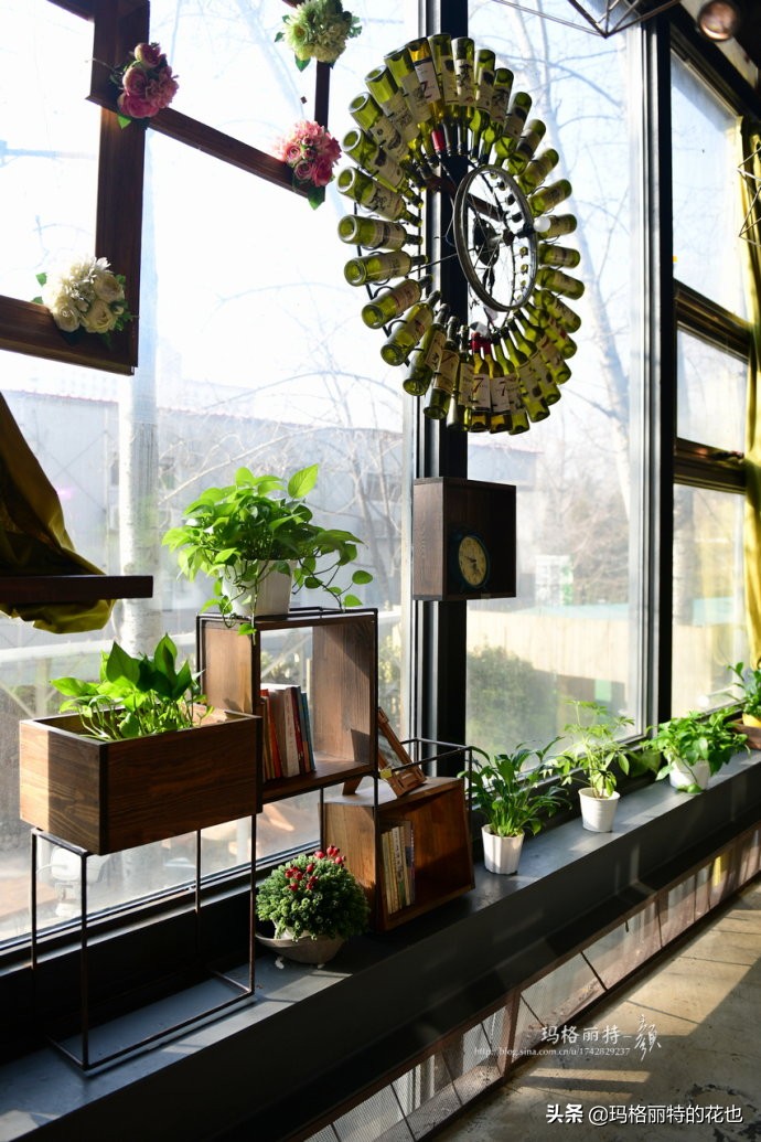 网红餐厅“胡桃里”的绿植布置|行摄