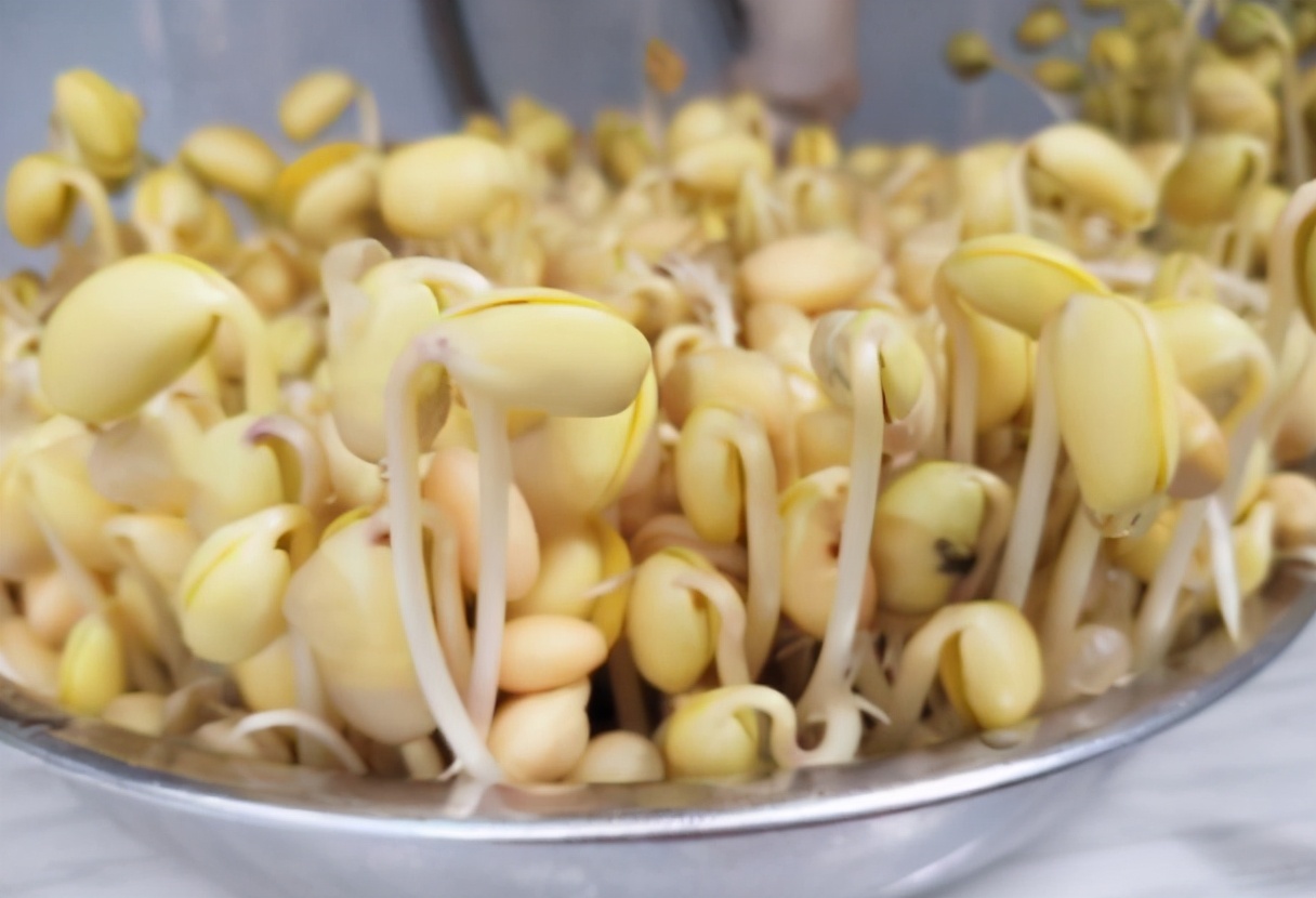自己在家发豆芽的制作方法,在家发豆芽新做法