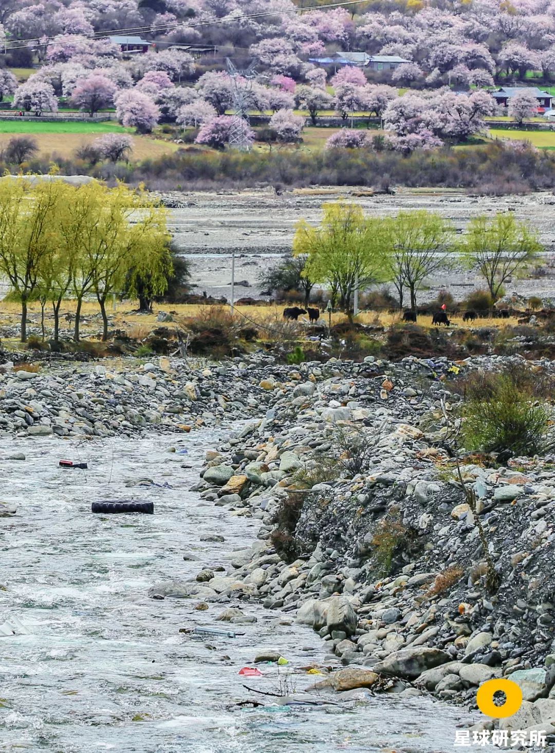 藏西秘境景观,藏西美景视频大全