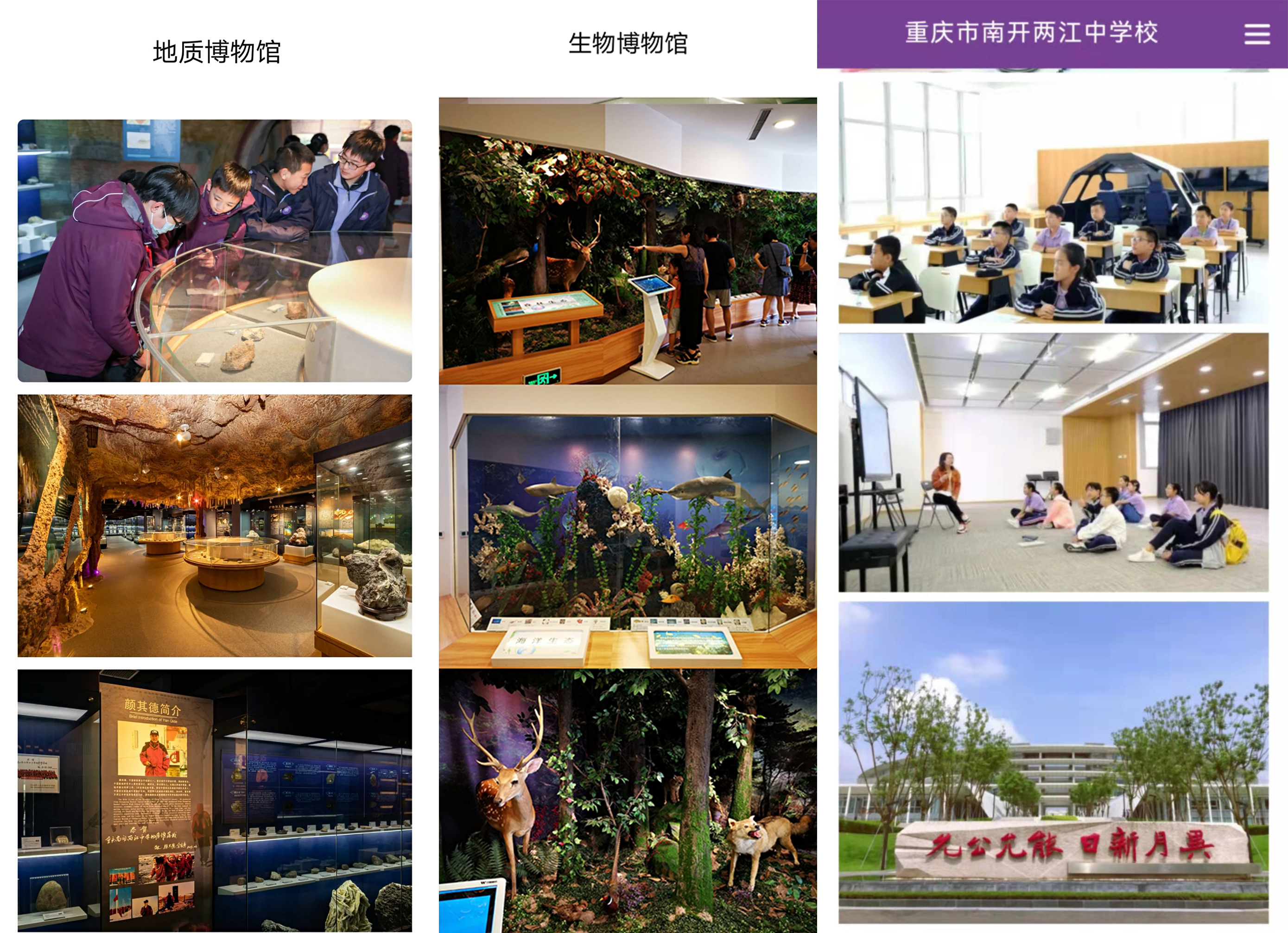 两江南开中学第一届的中考成绩,两江南开初中升高中升学率高吗