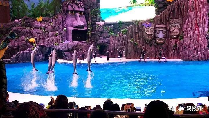 珠海长隆旅游攻略吃住一体,带孩子去珠海长隆攻略