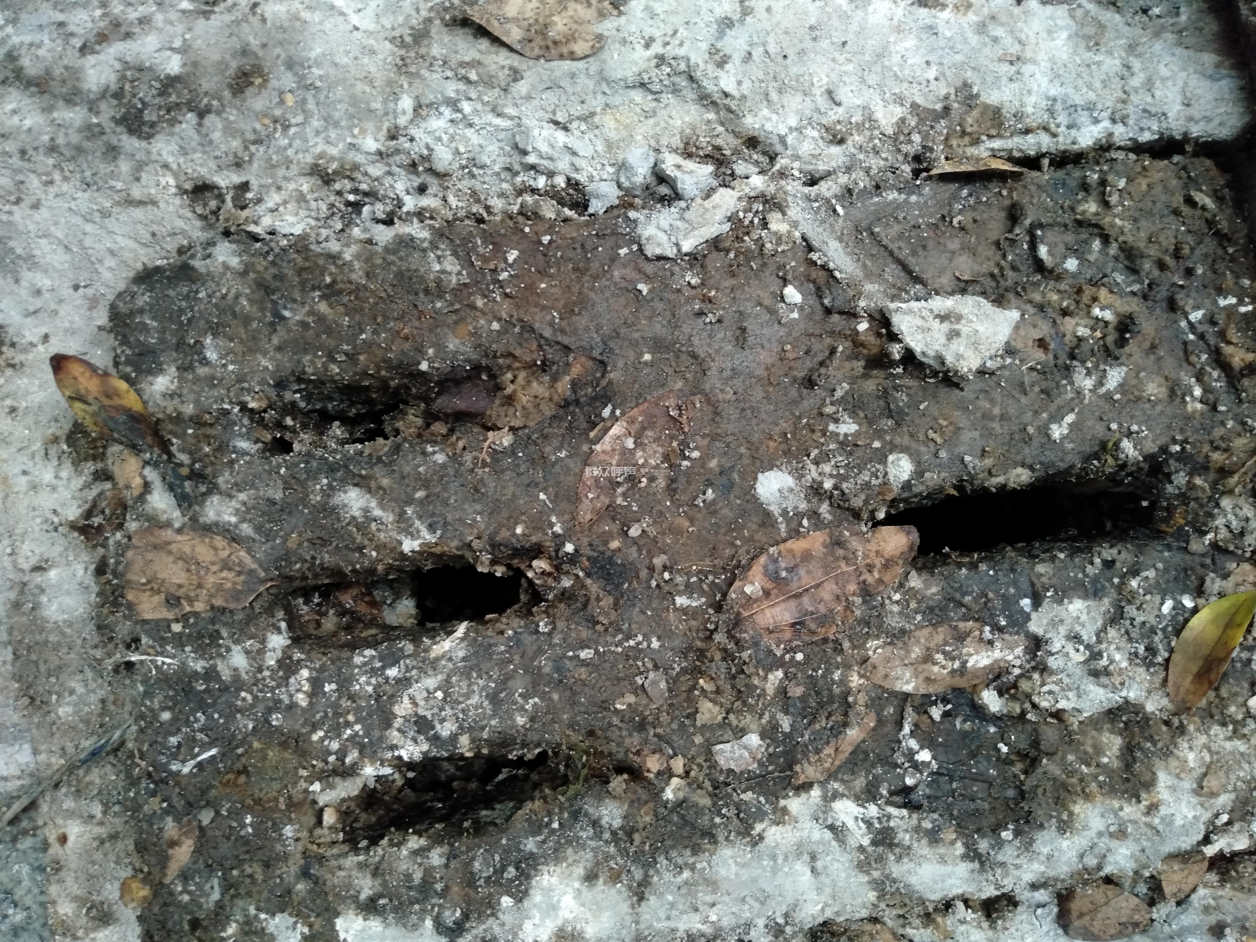 城管处理商户把餐厨垃圾乱倒,乱排污水城管执法