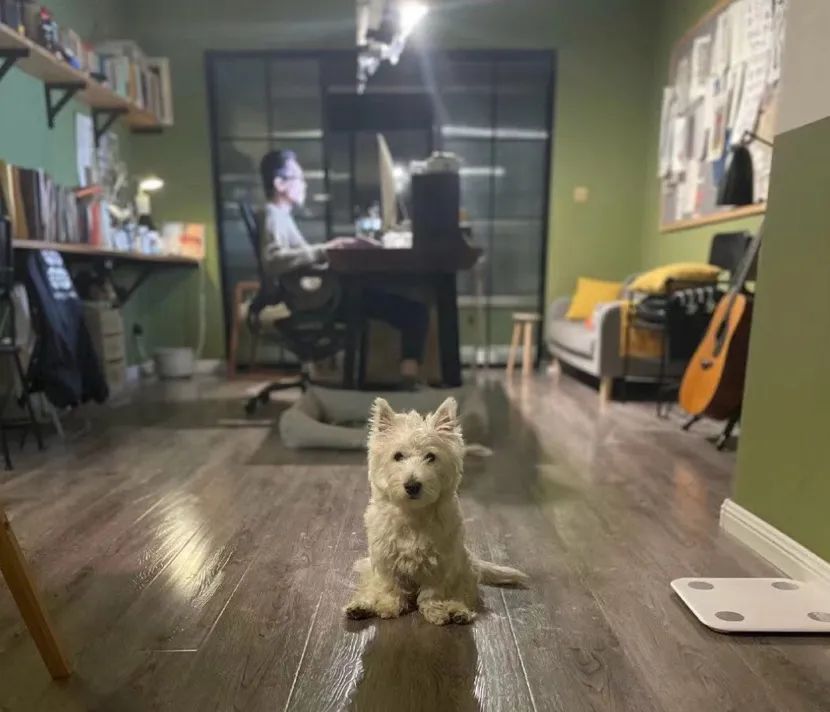 这个默默无闻的小群体，正推动国内独立音乐文化发展