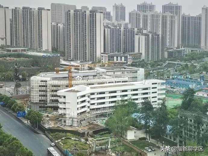 新川学区a区还是b区好,高新区新川板块学区配套如何