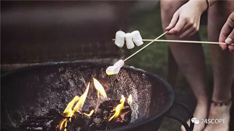 马尔代夫最美度假旅游岛酒店,马尔代夫娇丽酒店价格