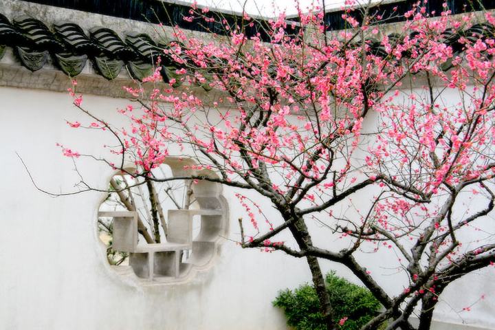 唐宋八大家是哪八位为啥没有李白,唐宋八大家是哪一位诗人所写