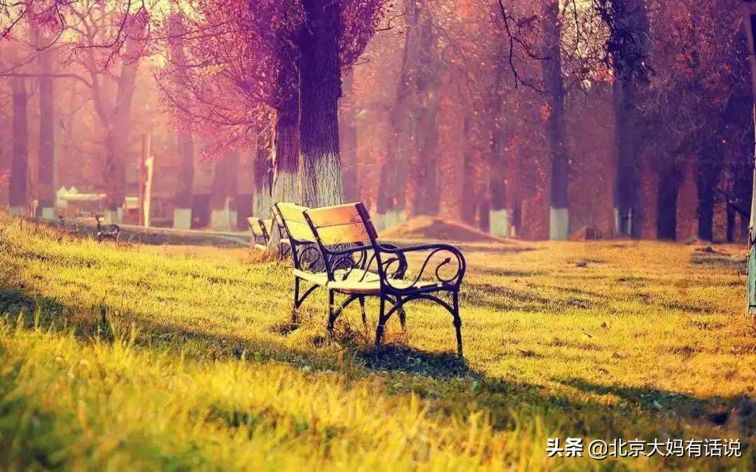 年度十佳微小说感言,十大经典微小说推荐