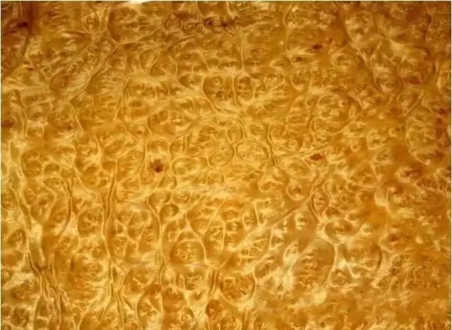 教你正确辨别真假金丝楠木,如何识别正宗的金丝楠木