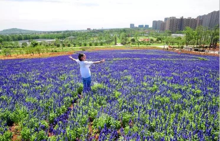 这个小镇为何能吸引全国媒体“大咖”都来这里?原来是这样……