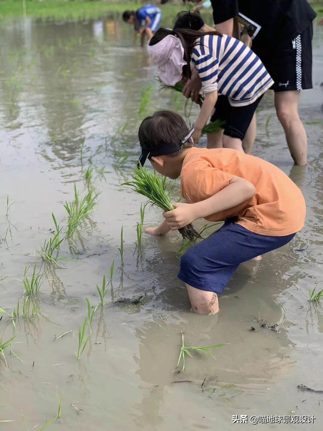 低成本美丽乡村造景,低成本打造乡村旅游