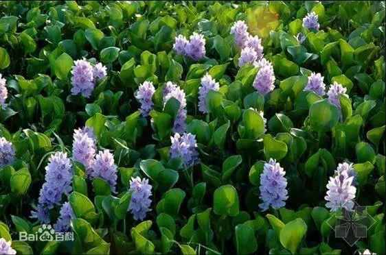 全民国家安全教育日保护公众健康,4.15全民国家安全教育日主题宣传