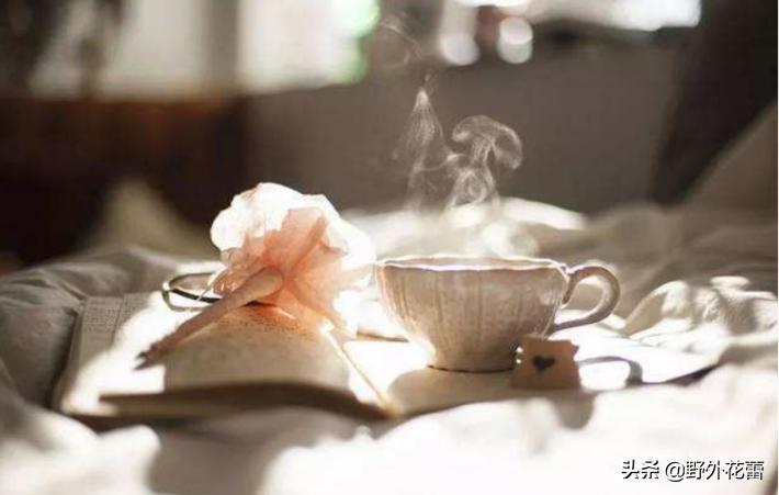 当你没钱了所有人该知道的道理,当你没钱的时候你会明白很多东西