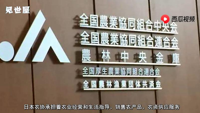 日本农协的经营模式,日本农协的弊端
