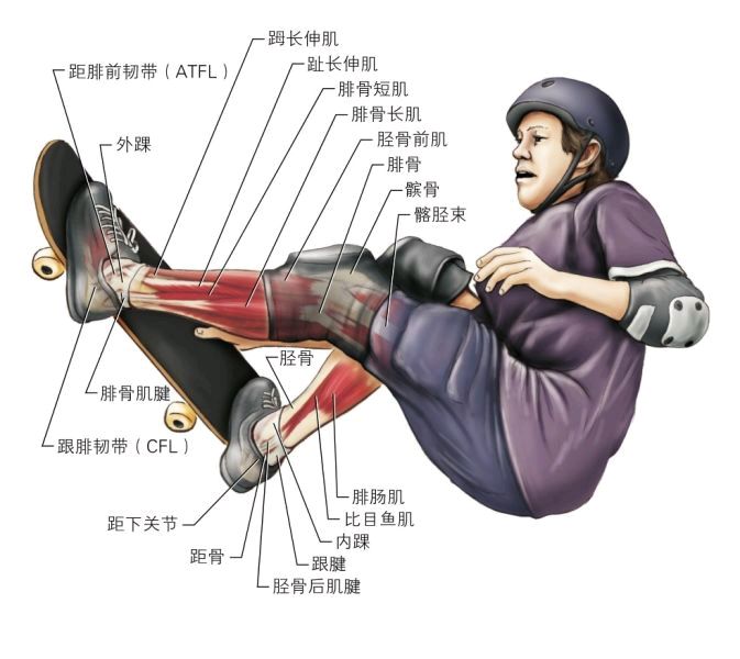 怎么判断脚踝崴脚还是扭伤,崴脚之后怎么恢复脚踝力量