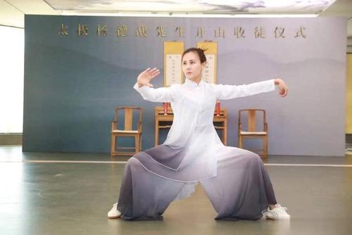 太极拳的养生健身功效,太极拳的健身与健心作用300字