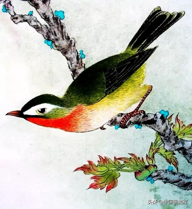 画羽毛的小技巧,根根分明的羽毛画法