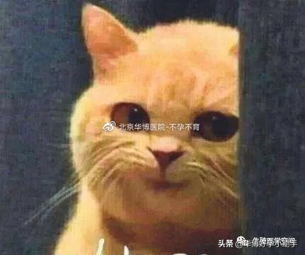 验孕棒显示两杠但是没怀孕,验孕棒两道杠是怀孕吗