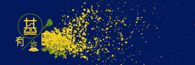 500、300、50？宽基、窄基？这9只上证XX指数到底啥关系丨侃指数