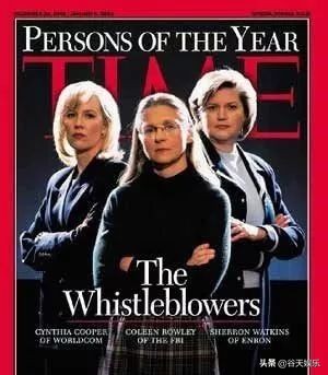 吹哨人电影在线观看免费完整,吹哨人电影免费观影