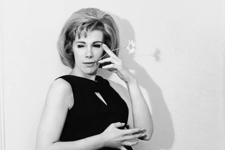 她又回来了全文免费知乎,她又回来了小说完整版阅读