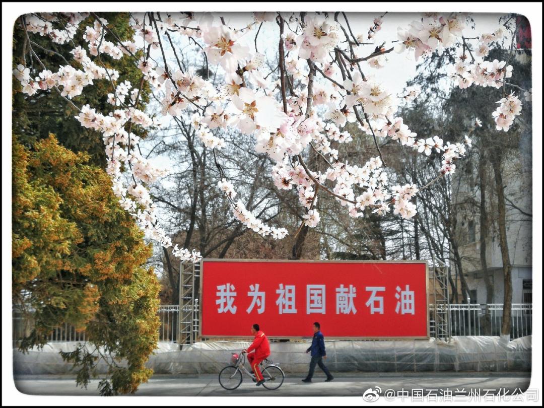 中石化和中石油的密度哪个大,中国石化与中国石油汽油对比