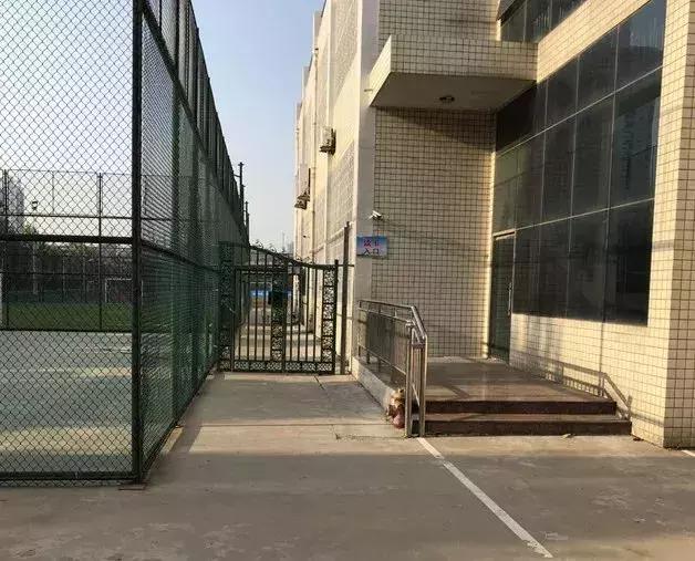 2019年郑州中考体育考场,2022年郑州中招考试考点分布表