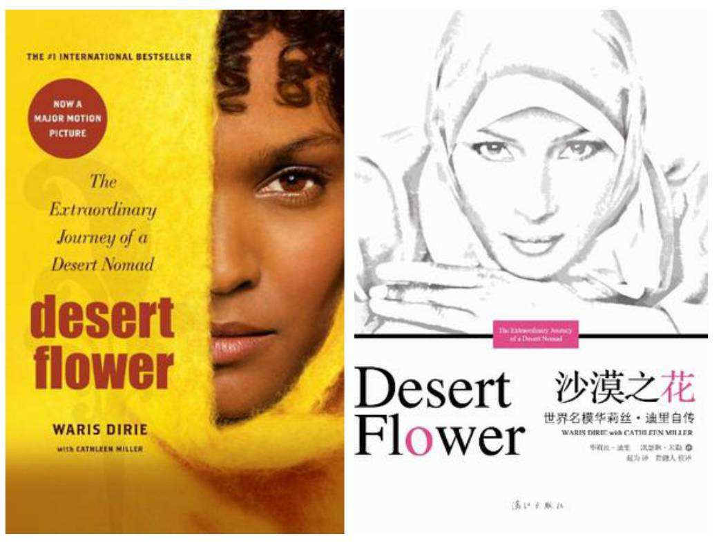 非洲女*斗权**士——沙漠之花：华莉丝·迪里
