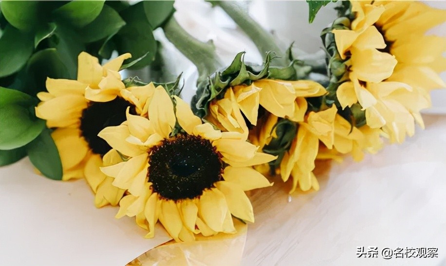 守望初心勇担当笃定前行绽芳华,守望初心勇担当砥砺前行绽芳华