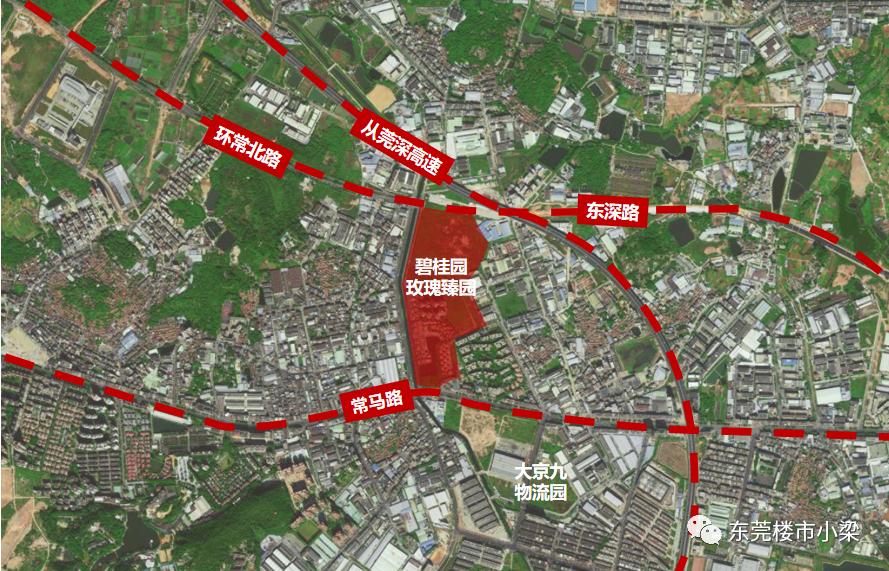 碧桂园常平玫瑰臻园别墅,东莞常平碧桂园玫瑰臻园