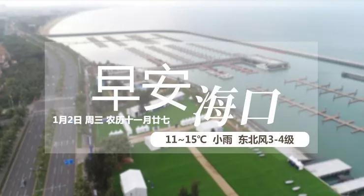 早安海口2019年1月14日,早安海口2018年12月26日